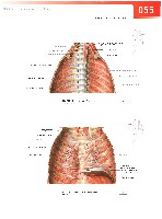 Sobotta  Atlas of Human Anatomy  Trunk, Viscera,Lower Limb Volume2 2006, page 62